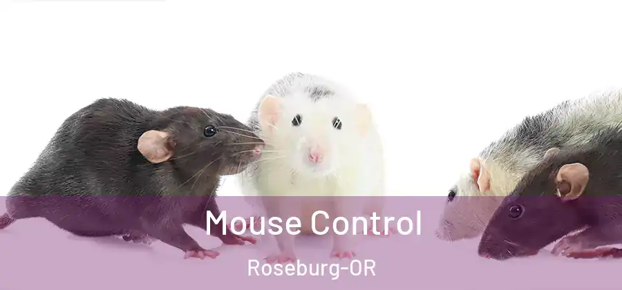 Mouse Control Roseburg-OR