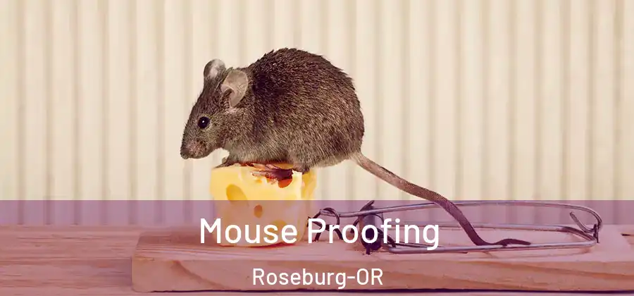  Mouse Proofing Roseburg-OR