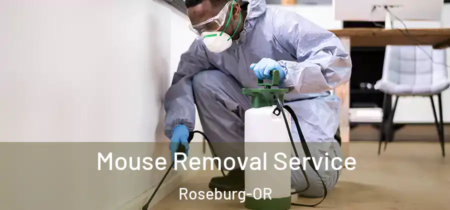 Mouse Removal Service Roseburg-OR