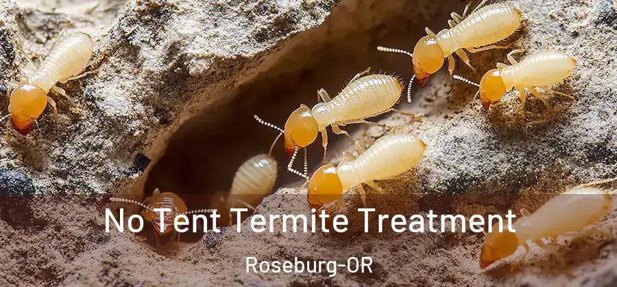No Tent Termite Treatment Roseburg-OR