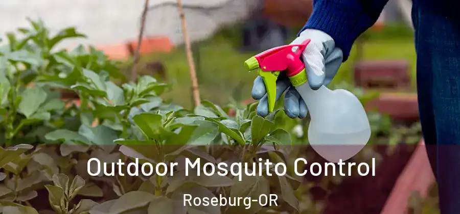 Outdoor Mosquito Control Roseburg-OR