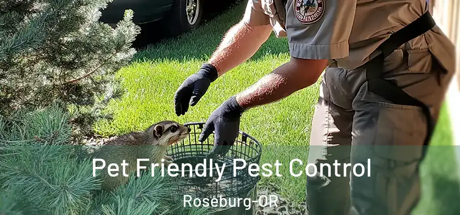 Pet Friendly Pest Control Roseburg-OR