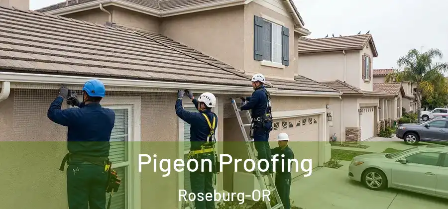 Pigeon Proofing Roseburg-OR