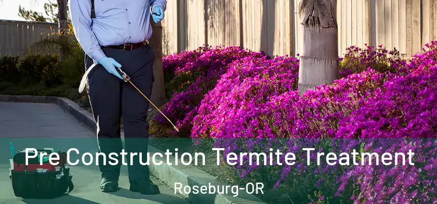 Pre Construction Termite Treatment Roseburg-OR