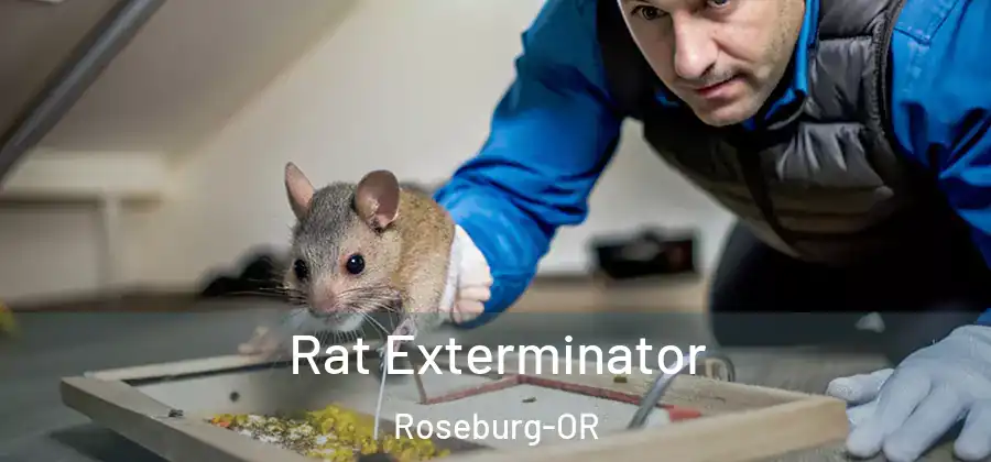Rat Exterminator Roseburg-OR
