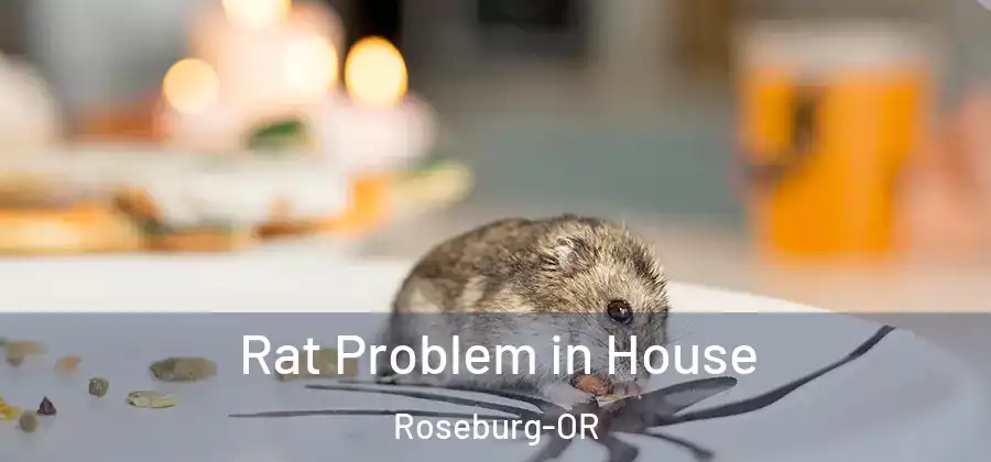 Rat Problem in House Roseburg-OR