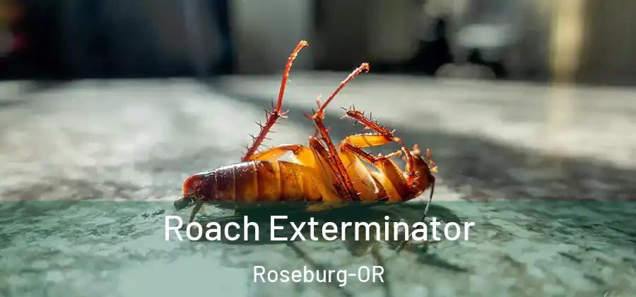 Roach Exterminator Roseburg-OR