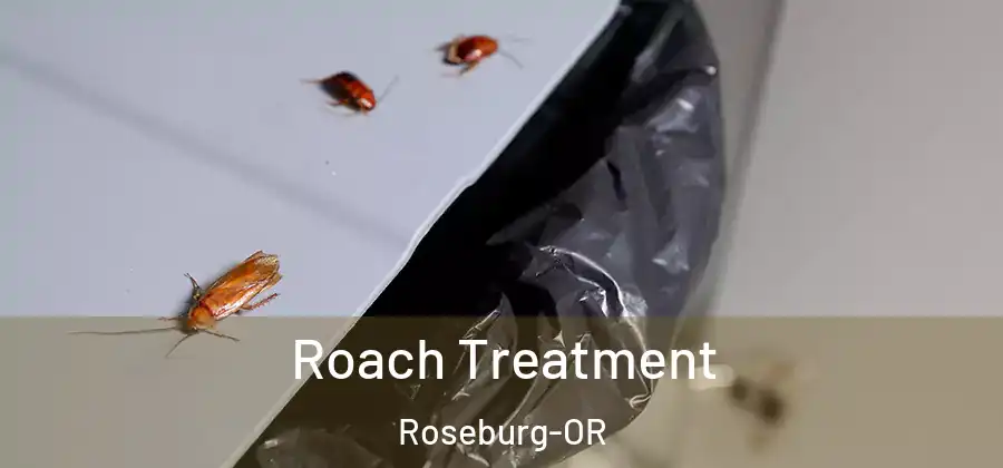 Roach Treatment Roseburg-OR