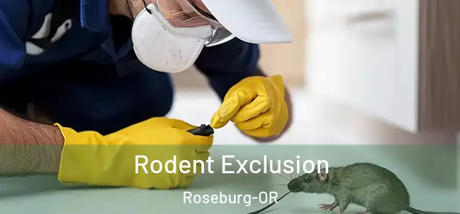 Rodent Exclusion Roseburg-OR
