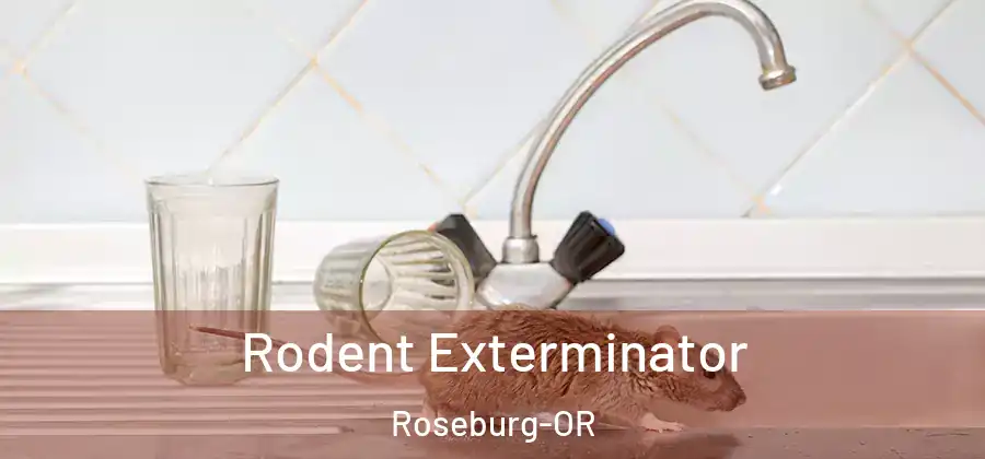 Rodent Exterminator Roseburg-OR