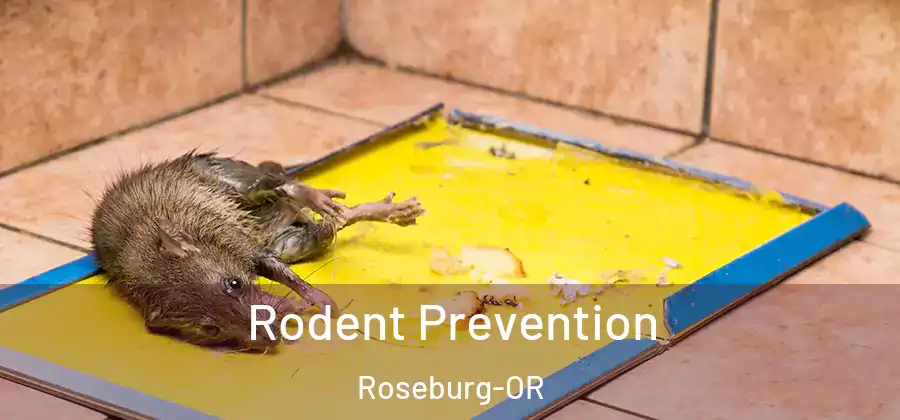  Rodent Prevention Roseburg-OR