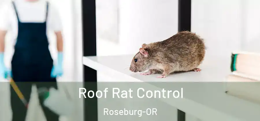 Roof Rat Control Roseburg-OR