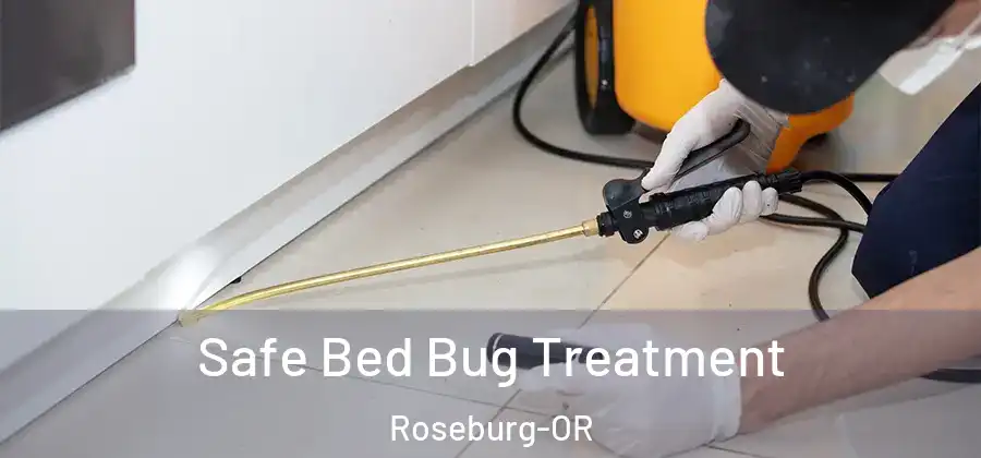 Safe Bed Bug Treatment Roseburg-OR