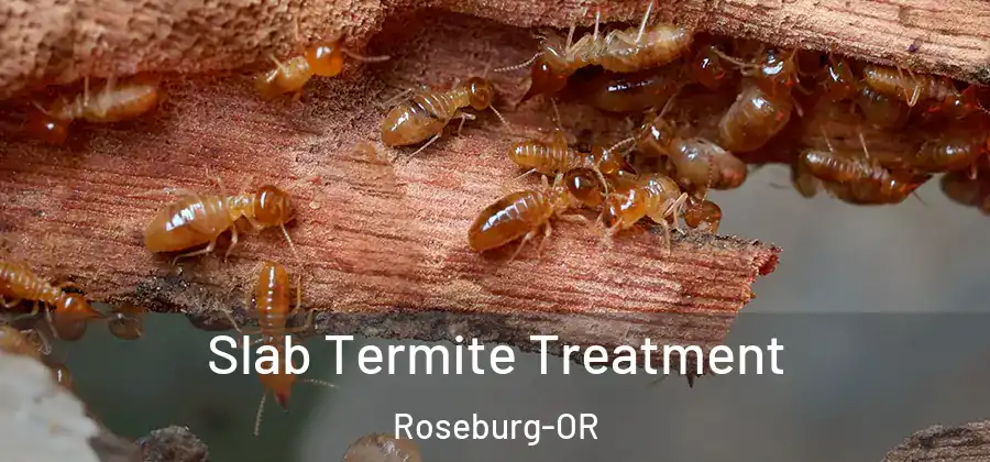 Slab Termite Treatment Roseburg-OR