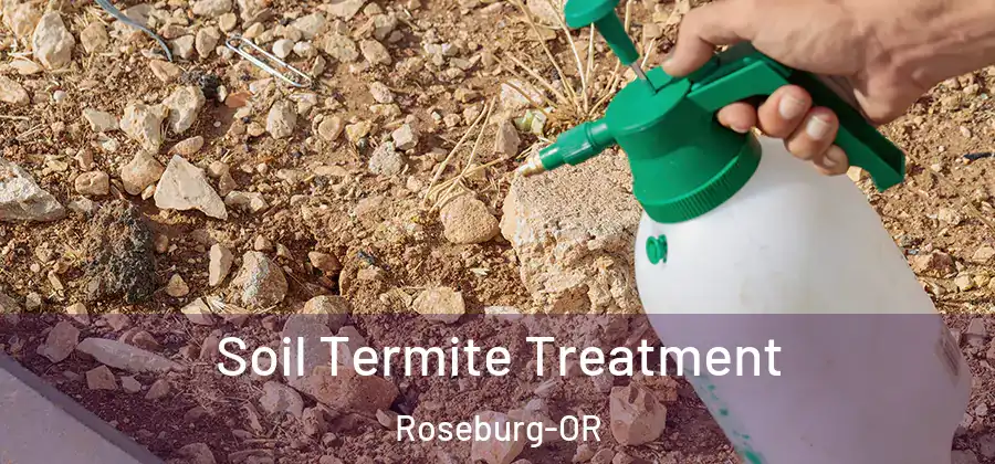 Soil Termite Treatment Roseburg-OR