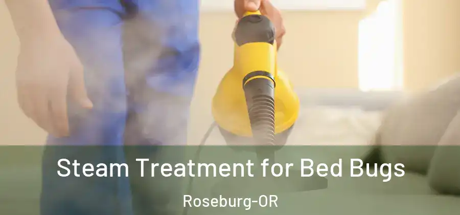 Steam Treatment for Bed Bugs Roseburg-OR