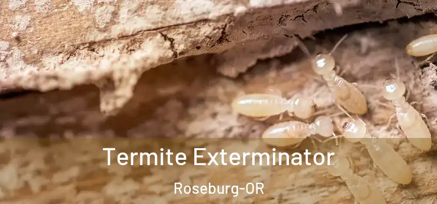 Termite Exterminator Roseburg-OR