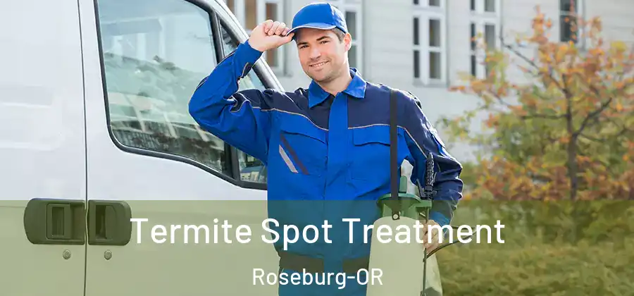 Termite Spot Treatment Roseburg-OR