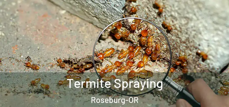 Termite Spraying Roseburg-OR