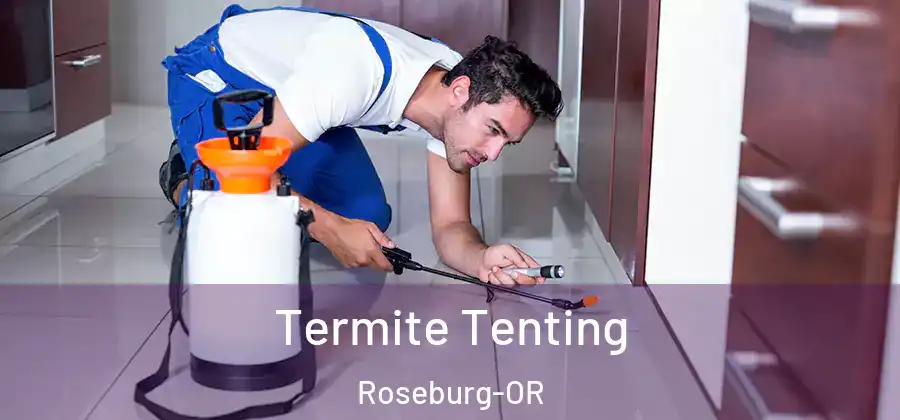  Termite Tenting Roseburg-OR