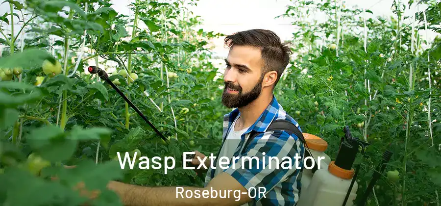 Wasp Exterminator Roseburg-OR