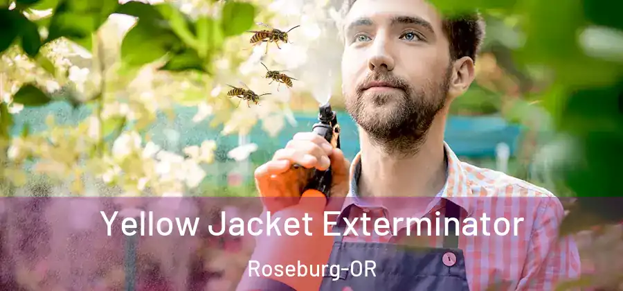  Yellow Jacket Exterminator Roseburg-OR